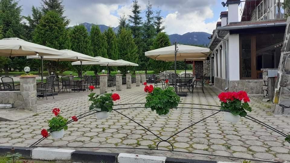 Hotel Cheia Cheia  Buitenkant foto