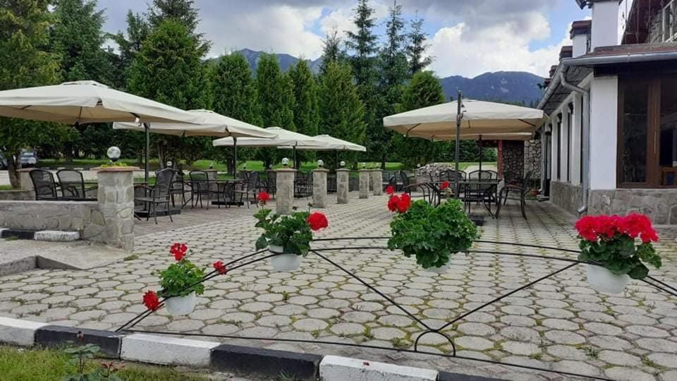Hotel Cheia Cheia  Buitenkant foto